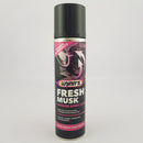 Wynns Interior Spray 250ml