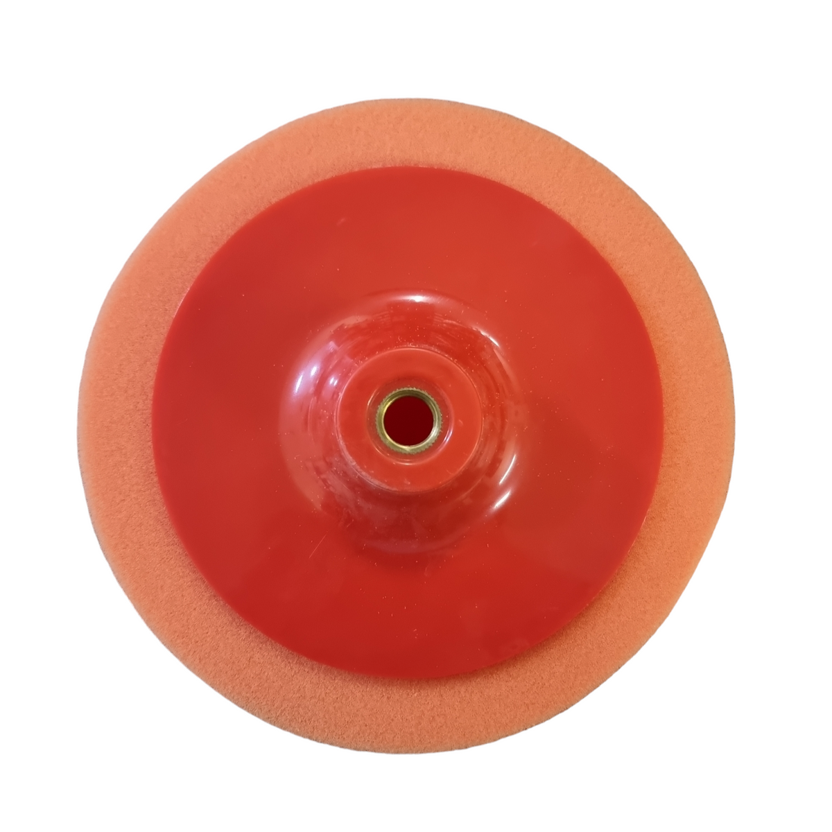 Shind - Polishing Sponge with Plastic Backing Pad